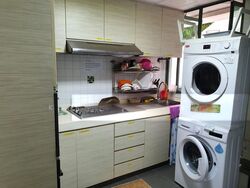 Cassia View (D14), Apartment #501937041